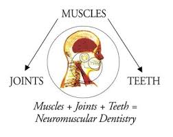 neuromuscular dentistry graphic explaining neuromuscular dentistry graphic explaining