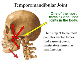 neuromuscular dentistry graphic explaining neuromuscular dentistry graphic explaining